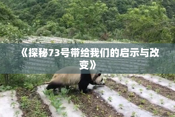 《探秘73号带给我们的启示与改变》
