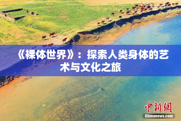 《裸体世界》：探索人类身体的艺术与文化之旅