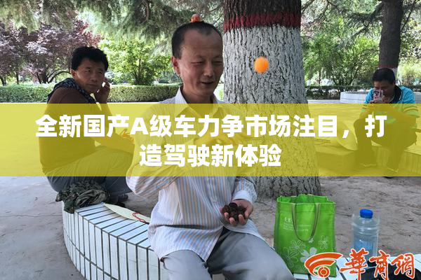 全新国产A级车力争市场注目，打造驾驶新体验