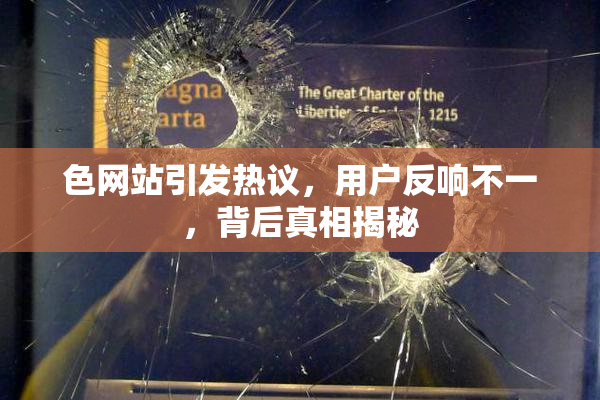 色网站引发热议，用户反响不一，背后真相揭秘