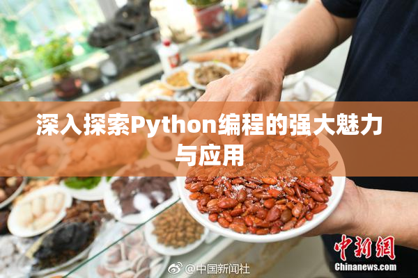 深入探索Python编程的强大魅力与应用