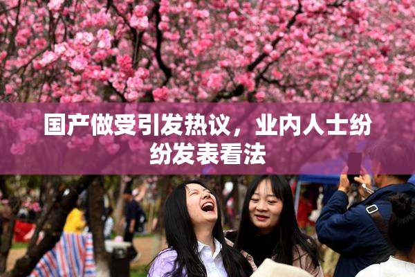 国产做受引发热议，业内人士纷纷发表看法