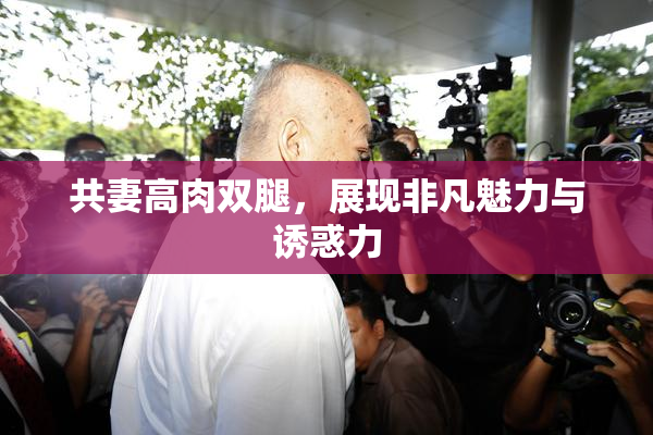 共妻高肉双腿，展现非凡魅力与诱惑力
