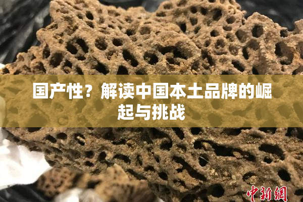 国产性？解读中国本土品牌的崛起与挑战