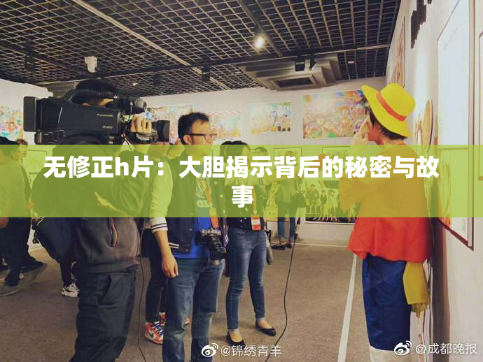 无修正h片：大胆揭示背后的秘密与故事