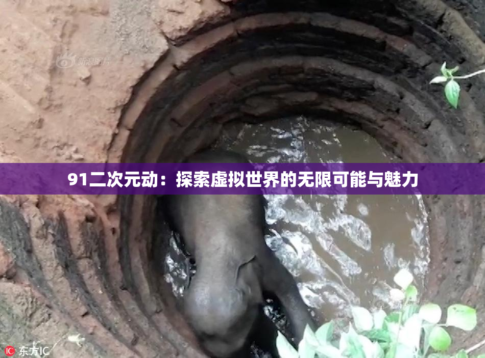 91二次元动：探索虚拟世界的无限可能与魅力