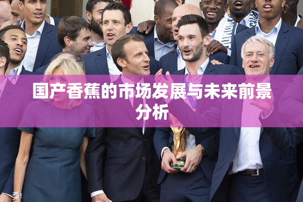 国产香蕉的市场发展与未来前景分析