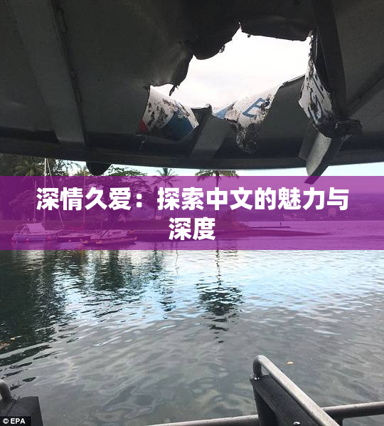 深情久爱：探索中文的魅力与深度