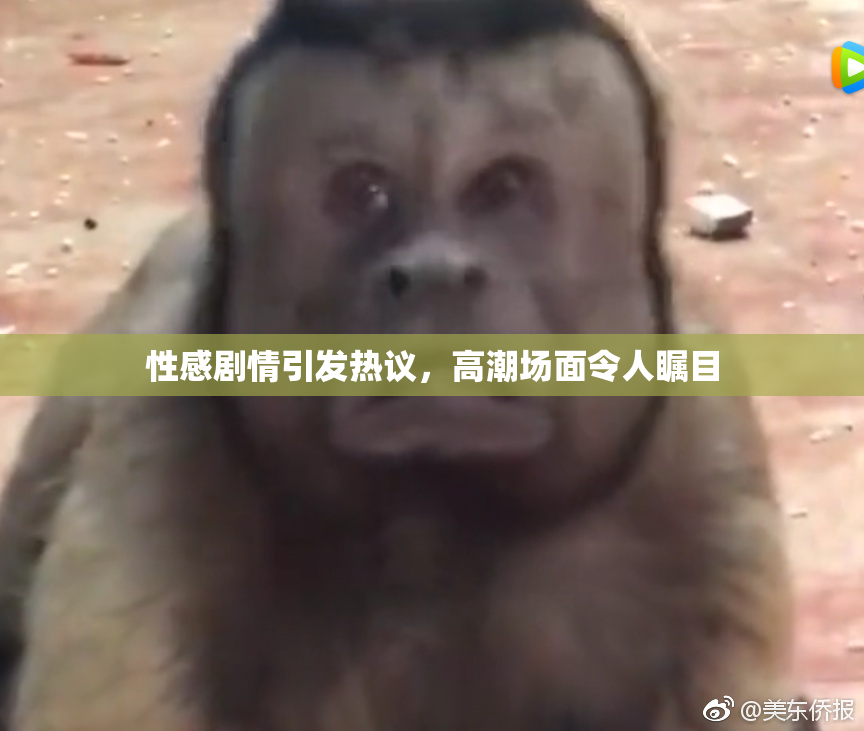 性感剧情引发热议，高潮场面令人瞩目