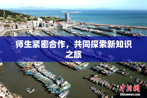 师生紧密合作，共同探索新知识之旅