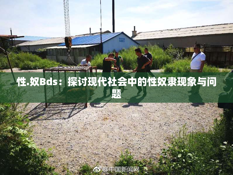 性.奴Bds：探讨现代社会中的性奴隶现象与问题