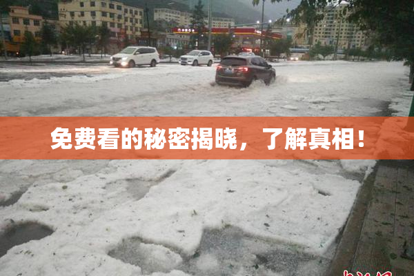 免费看的秘密揭晓，了解真相！