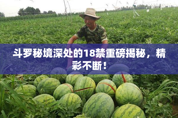 斗罗秘境深处的18禁重磅揭秘，精彩不断！