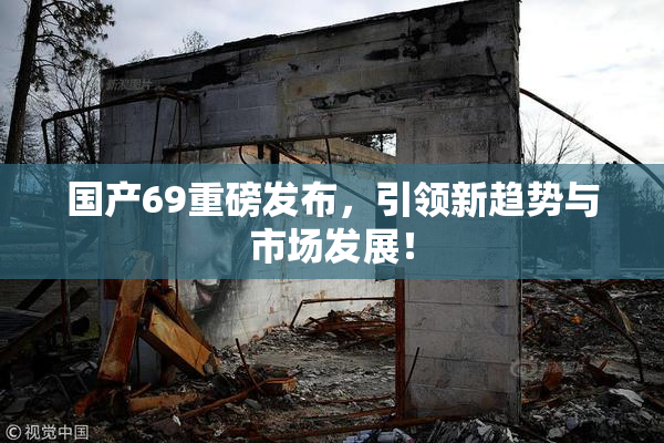国产69重磅发布，引领新趋势与市场发展！