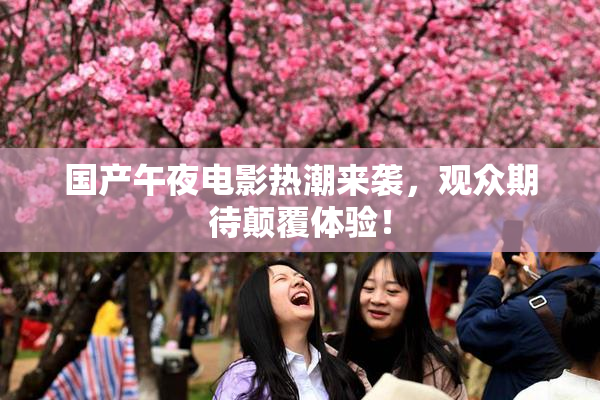 国产午夜电影热潮来袭，观众期待颠覆体验！