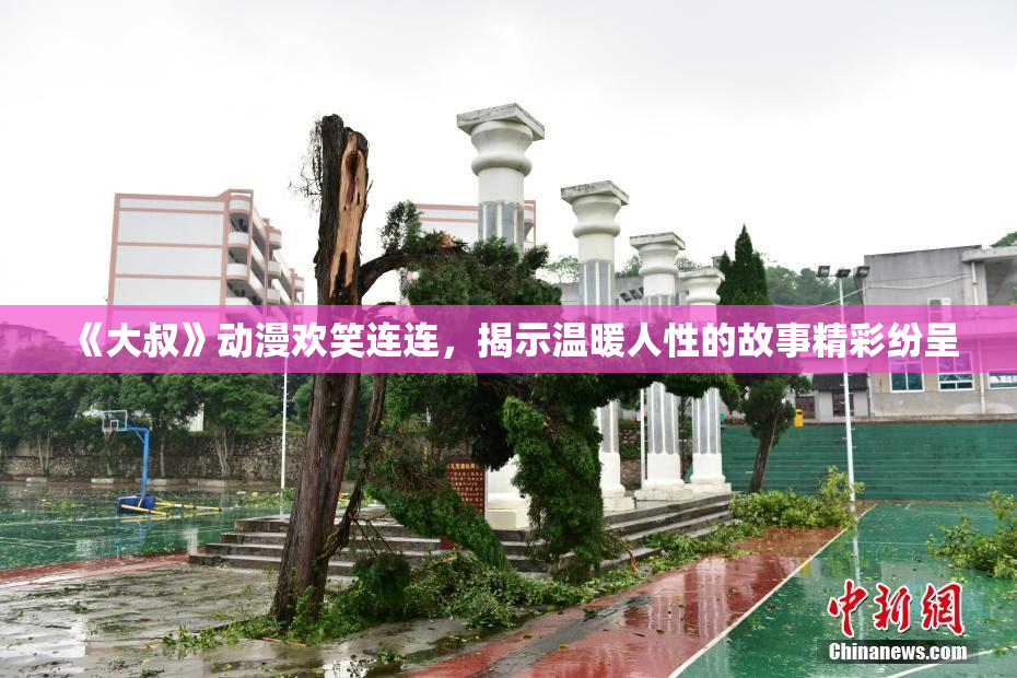 《大叔》动漫欢笑连连，揭示温暖人性的故事精彩纷呈