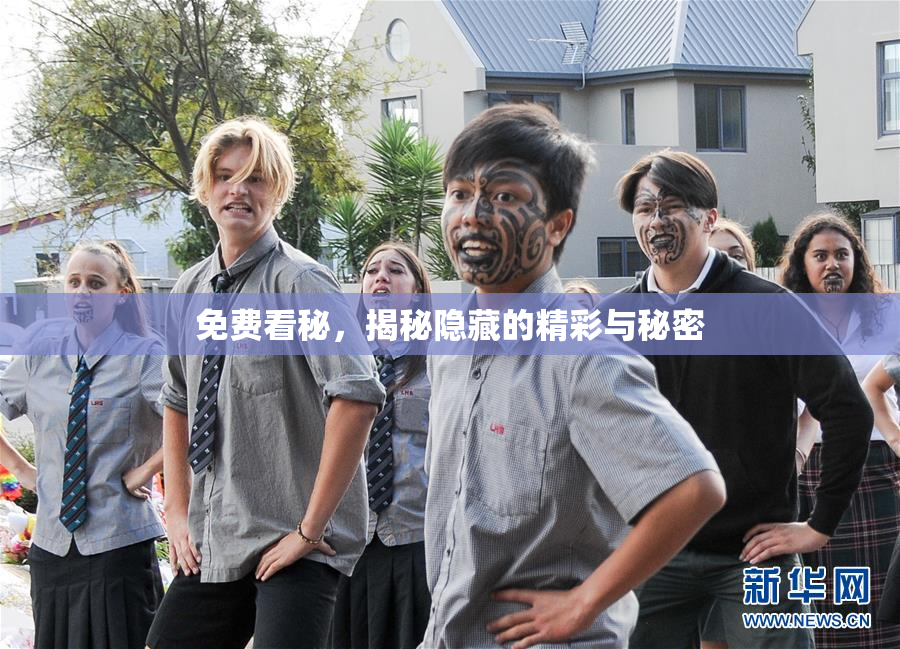免费看秘，揭秘隐藏的精彩与秘密