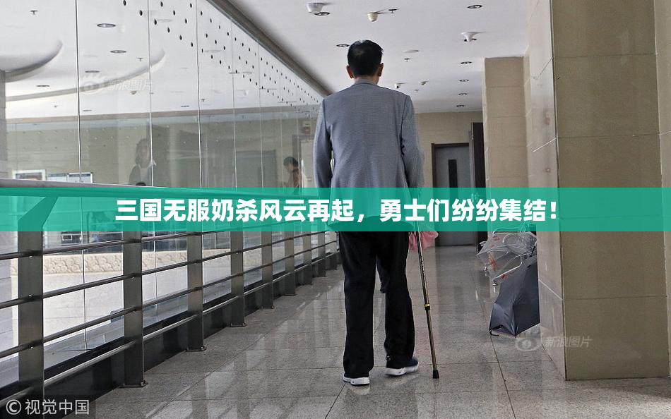 三国无服奶杀风云再起，勇士们纷纷集结！