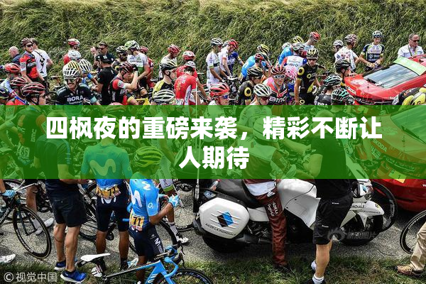 四枫夜的重磅来袭，精彩不断让人期待