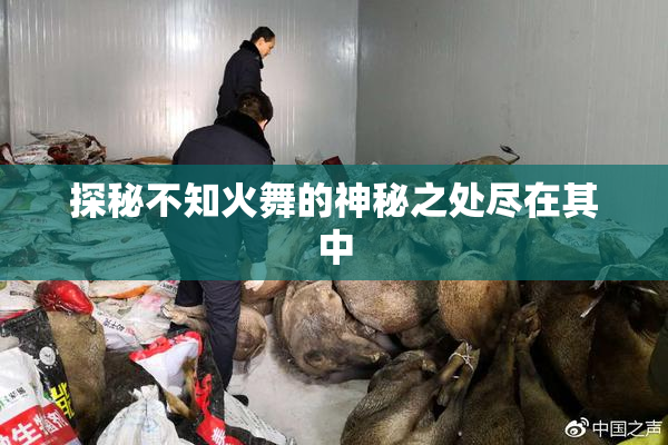 探秘不知火舞的神秘之处尽在其中