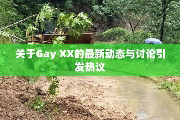 关于Gay XX的最新动态与讨论引发热议