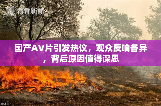 国产AV片引发热议，观众反响各异，背后原因值得深思