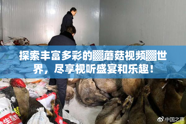 探索丰富多彩的▓蘑菇视频▓世界，尽享视听盛宴和乐趣！