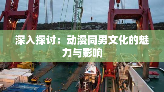 深入探讨：动漫同男文化的魅力与影响