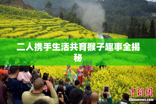 二人携手生活共育猴子趣事全揭秘