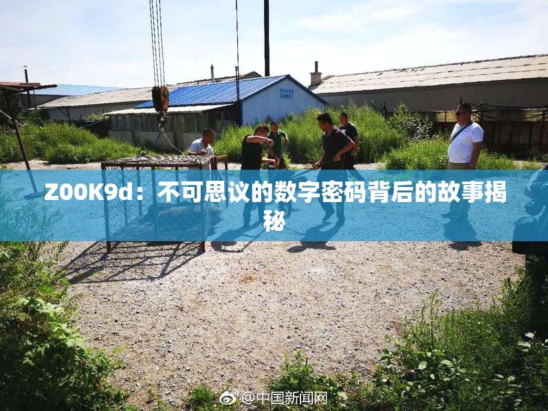 Z00K9d：不可思议的数字密码背后的故事揭秘