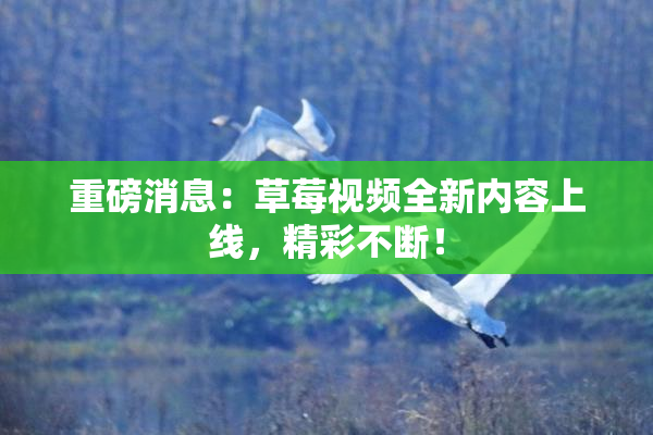 重磅消息：草莓视频全新内容上线，精彩不断！