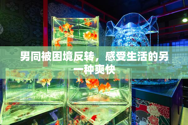 男同被困境反转，感受生活的另一种爽快