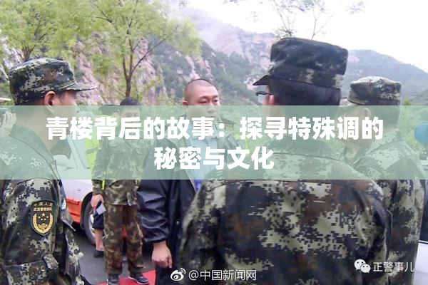青楼背后的故事：探寻特殊调的秘密与文化