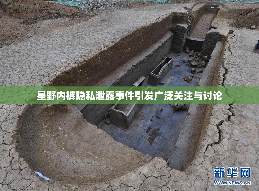 星野内裤隐私泄露事件引发广泛关注与讨论