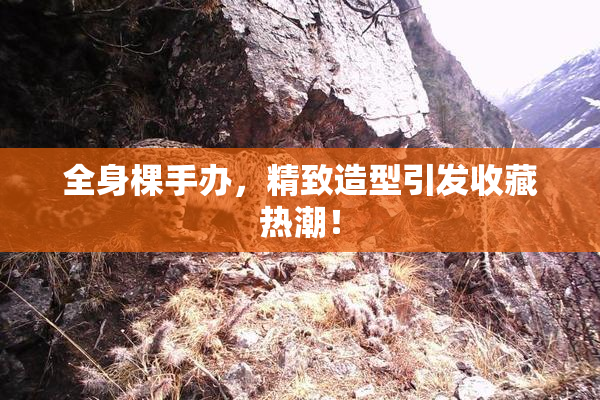 全身棵手办，精致造型引发收藏热潮！