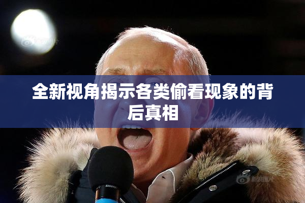 全新视角揭示各类偷看现象的背后真相