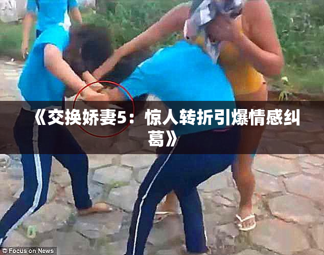 《交换娇妻5：惊人转折引爆情感纠葛》