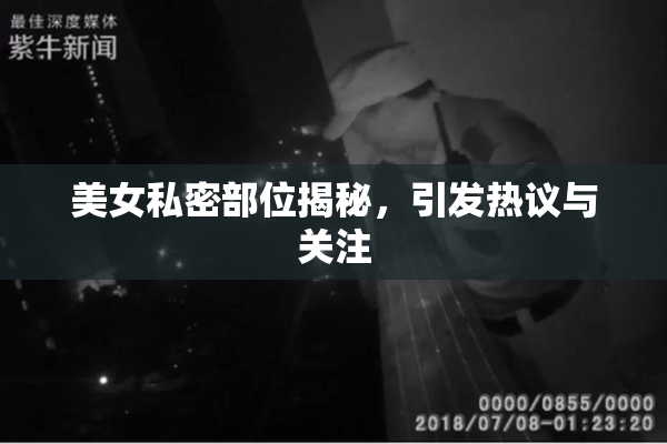 美女私密部位揭秘，引发热议与关注