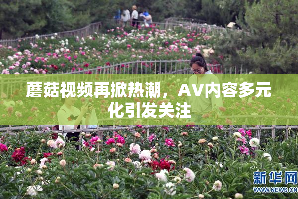 蘑菇视频再掀热潮，AV内容多元化引发关注