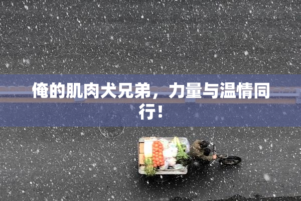 俺的肌肉犬兄弟，力量与温情同行！