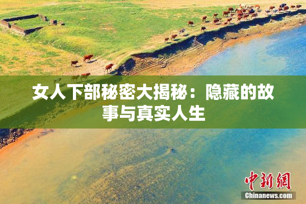 女人下部秘密大揭秘：隐藏的故事与真实人生