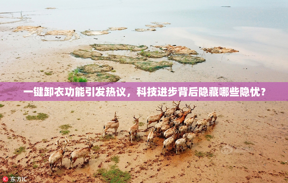 一键卸衣功能引发热议，科技进步背后隐藏哪些隐忧？