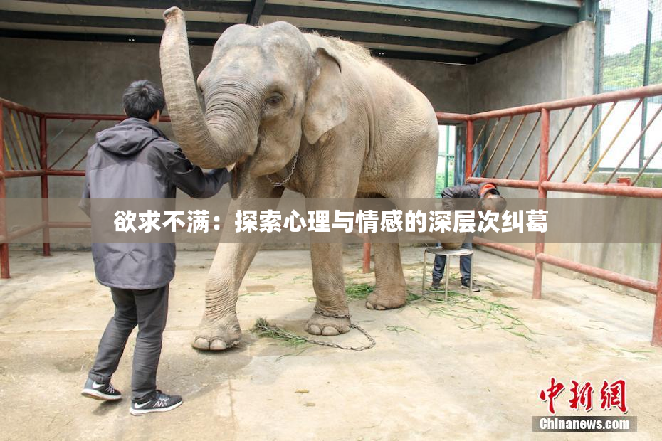 欲求不满：探索心理与情感的深层次纠葛
