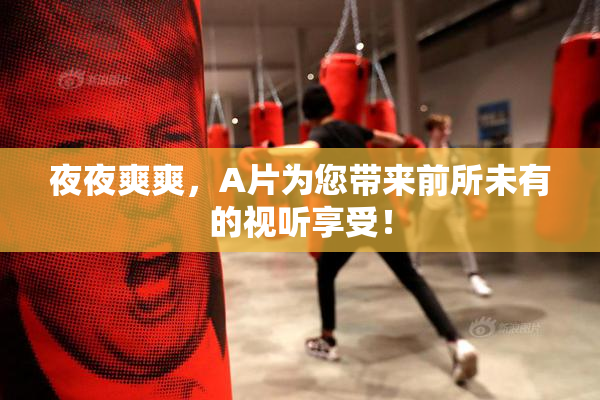 夜夜爽爽，A片为您带来前所未有的视听享受！