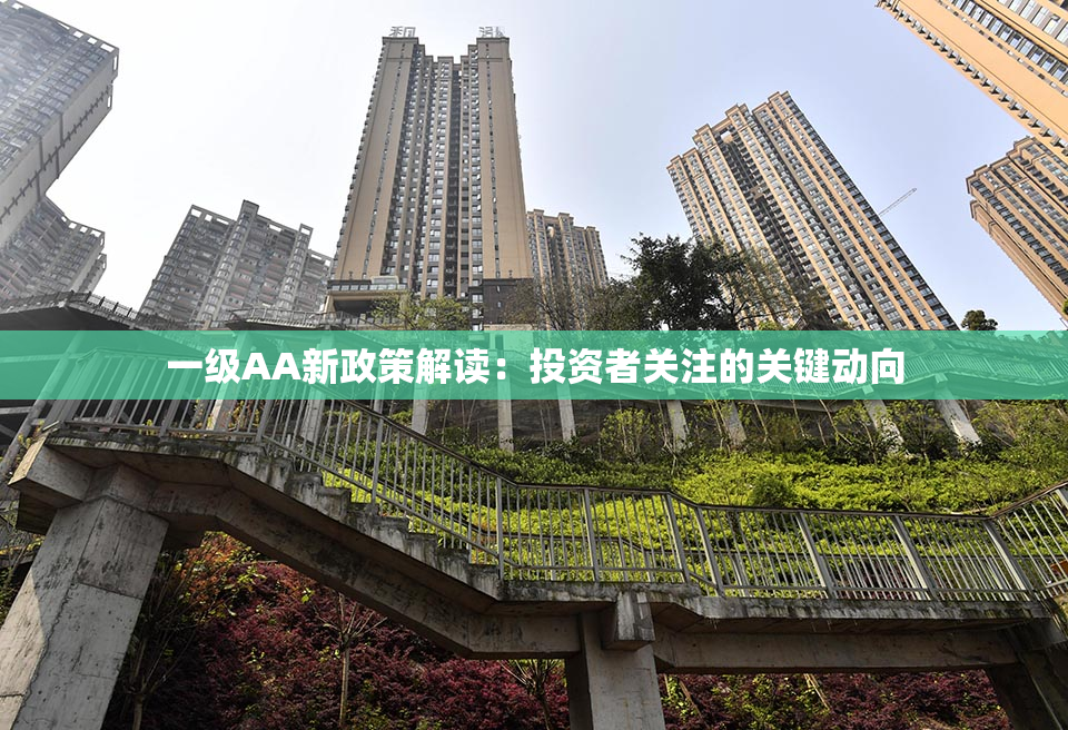 一级AA新政策解读：投资者关注的关键动向