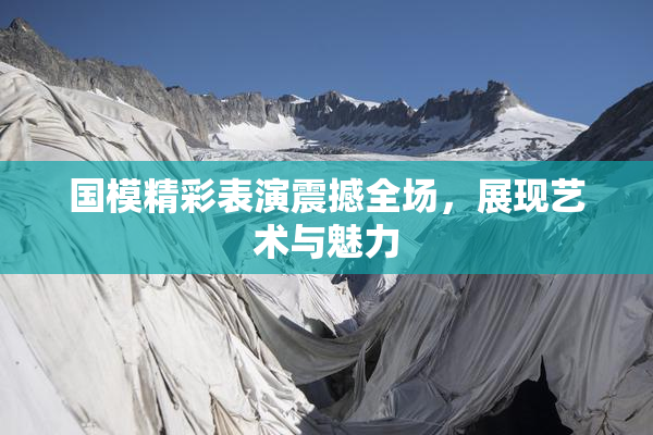 国模精彩表演震撼全场，展现艺术与魅力