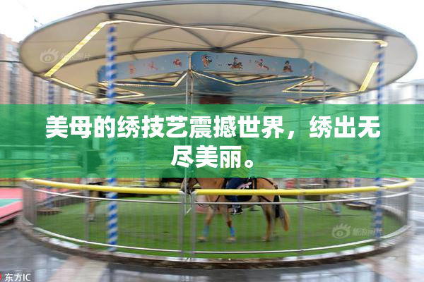 美母的绣技艺震撼世界，绣出无尽美丽。