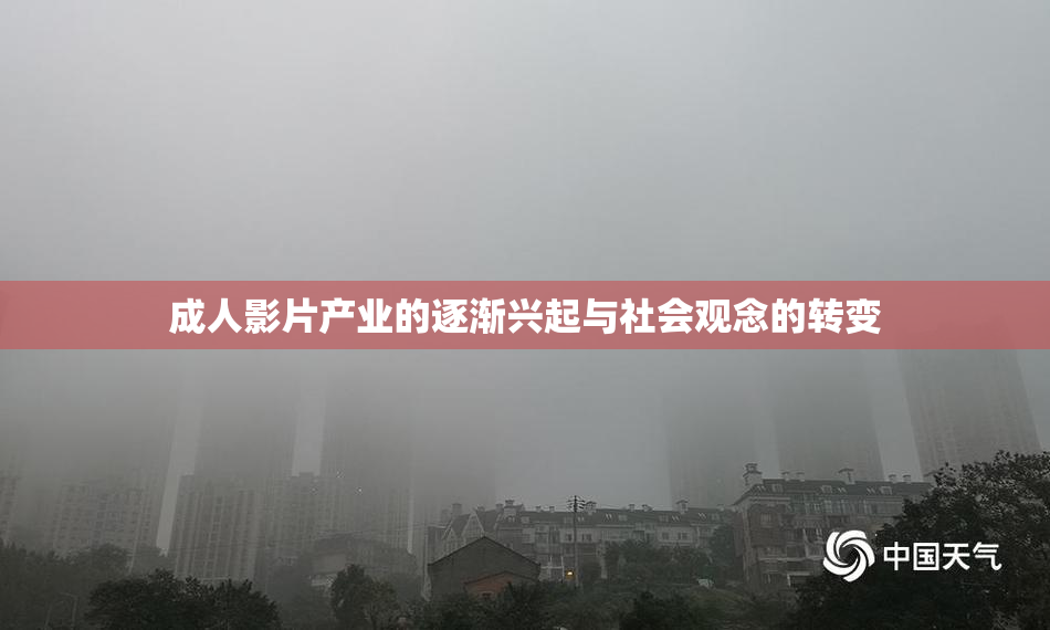 成人影片产业的逐渐兴起与社会观念的转变