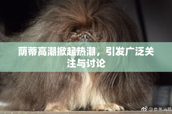 荫蒂高潮掀起热潮，引发广泛关注与讨论