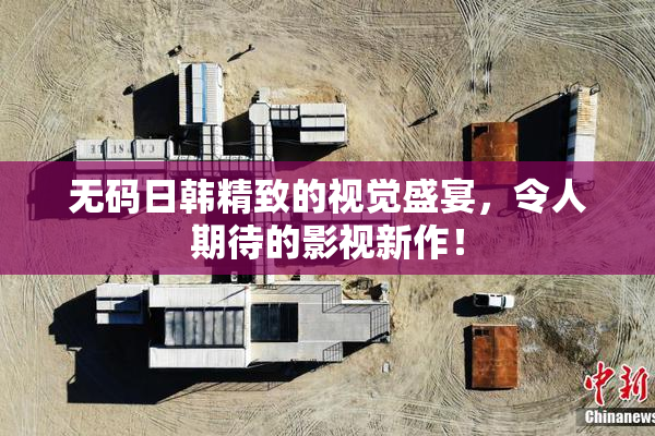 无码日韩精致的视觉盛宴，令人期待的影视新作！